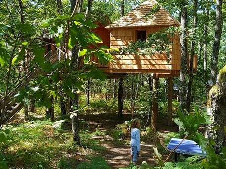 Domaine des 5 Eléments