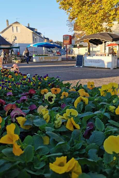 Foires et marchés à Lubersac (copie) (copie)