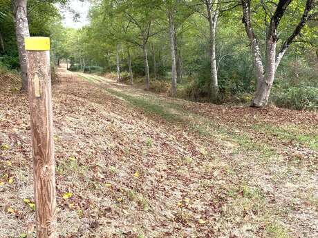 Boucle du chemin buissonnier