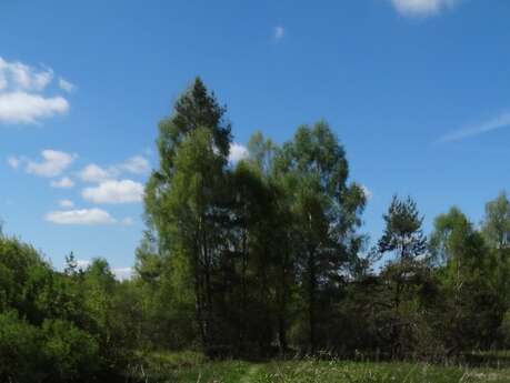 Au fil de l'eau - 12 km - temporairement fermé