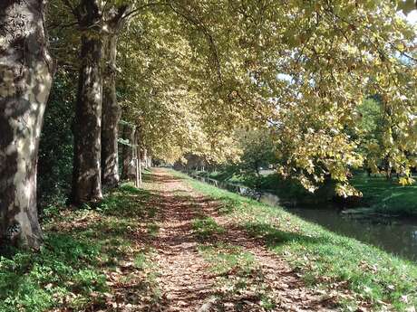 Boucle du canal de Lalinde - Lalinde