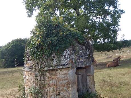 Boucle des Coteaux - Lanquais