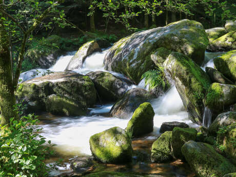 Cascades et moulins du Deiro